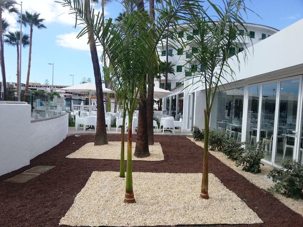 Servatur Playa Bonita (Adults Only) Playa del Inglés Esterno foto